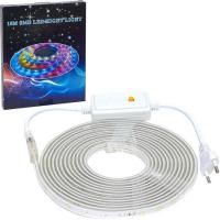 Гирлянда 220V LED лента для улицы 5 метров  цветная D-4