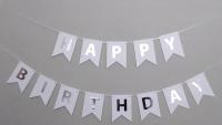 Бумажная надпись Happy Birthday белая с серебром